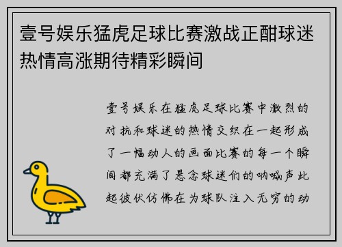 壹号娱乐猛虎足球比赛激战正酣球迷热情高涨期待精彩瞬间